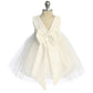Dress - Lace Sequin Back V Baby Dress